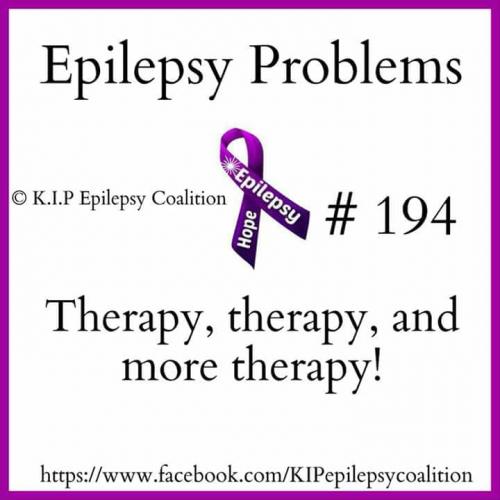 32581647_10204471056772386_7051056262338838528_n_10204471056732385