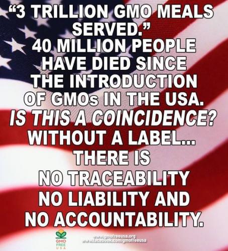 904223_678137818893351_2033730668_o