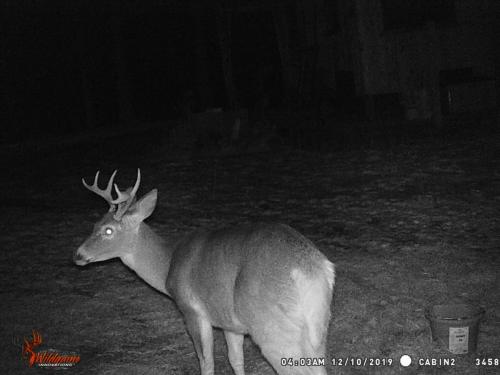 88303452_10221779982027356_8652088004338253824_o_10221779981987355