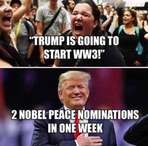 119897082_1036666463439363_4871627651189863949_n