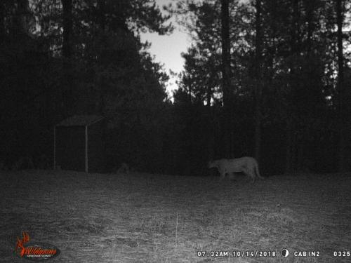 47113556_10217827186409936_8968587223872045056_o_10217827186369935