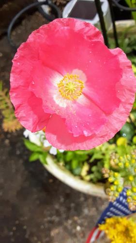 11:22:23 GMT-0700 (PDT)