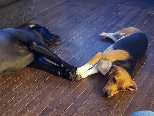 01:23:21 GMT-0500 (CDT)