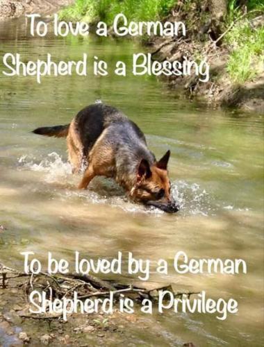 21:28:17 GMT-0400 (EDT)