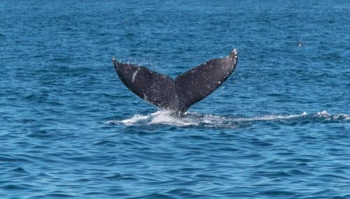 21:42:56 GMT-0400 (EDT)