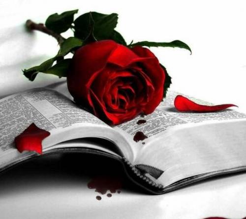 a87ec070-a523-43ba-a389-50166344d0da