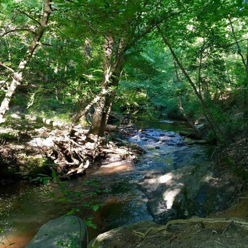 communitymgr_20200913_131750_1