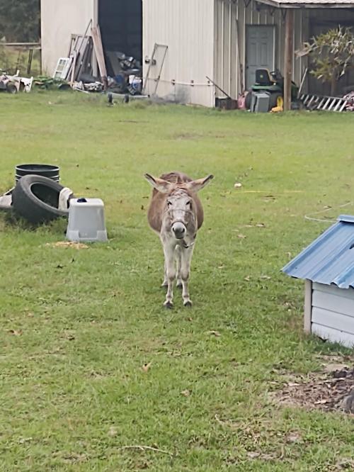 23:21:08 GMT-0400 (EDT)