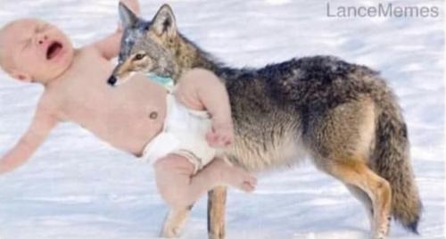 5683CF6D-B1F1-4855-AFC4-8662016426FC