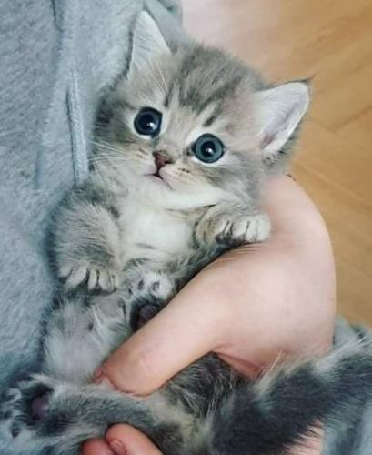 12:19:15 GMT-0500 (CDT)