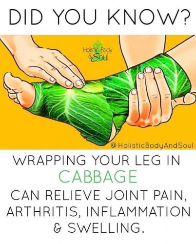 FB_IMG_1547931182884