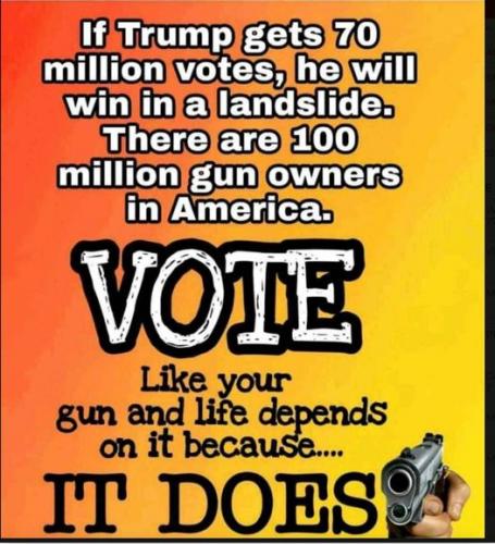 Vote guns