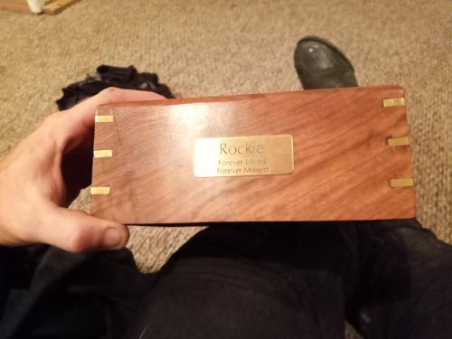 116799219_293908538528465_8006736495591687123_n