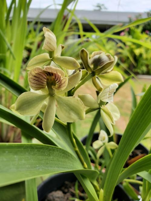 13:57:42 GMT-1000 (HST)