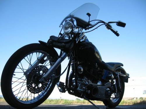 34564_1535031734324_13359_n_1535031734324