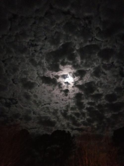 28423319_2066891623351169_3898676326917175067_o