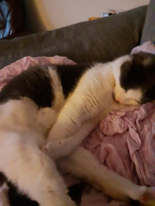 09:05:25 GMT+0200 (CEST)