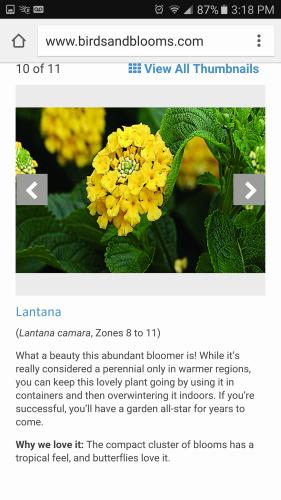 20247610_10203382688803867_6715011069782046237_o_10203382688803867