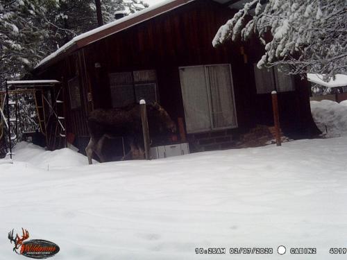 89124729_10221779982867377_270375076115775488_o_10221779982787375