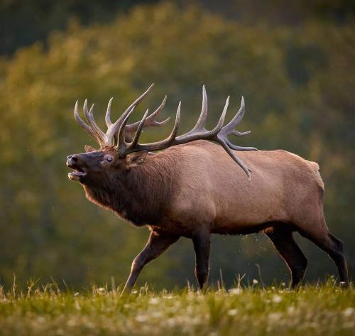 FB_IMG_1601013751344