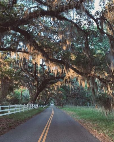 21:42:56 GMT-0400 (EDT)