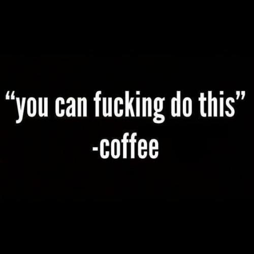 17309535_10202799270498774_794336495537049397_n_10202799270498774
