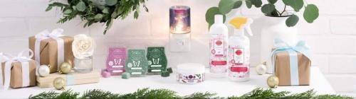 120440382_10157635337312584_4218033241988020198_o