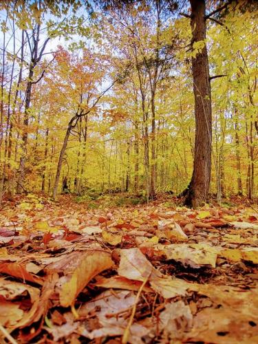 18:05:18 GMT-0400 (EDT)