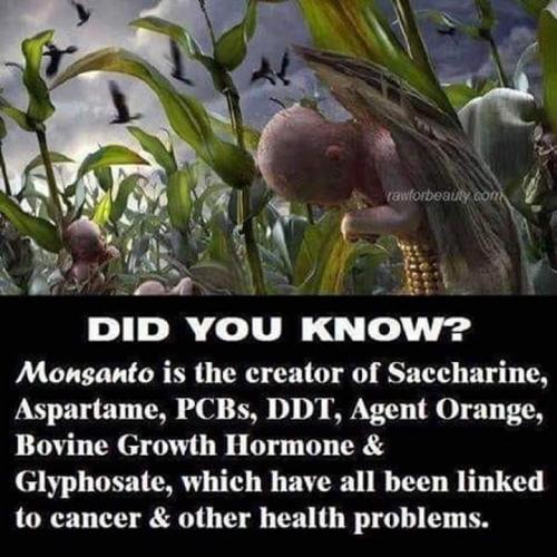 FB_IMG_1564271271879