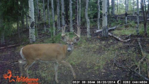 10653398_10204668934741868_1122507665237827003_n_10204668934741868