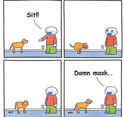 FB_IMG_1599360013492