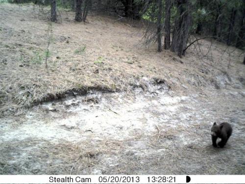 984027_10201232732598962_19546724_n_10201232732598962