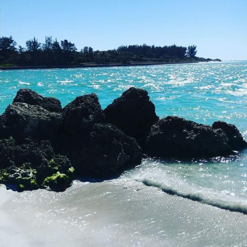 18:12:49 GMT-0400 (EDT)