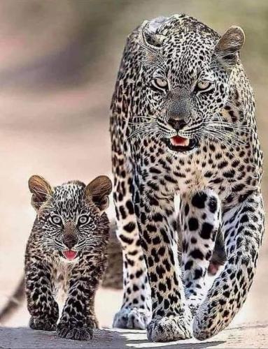 10:48:16 GMT-0500 (CDT)