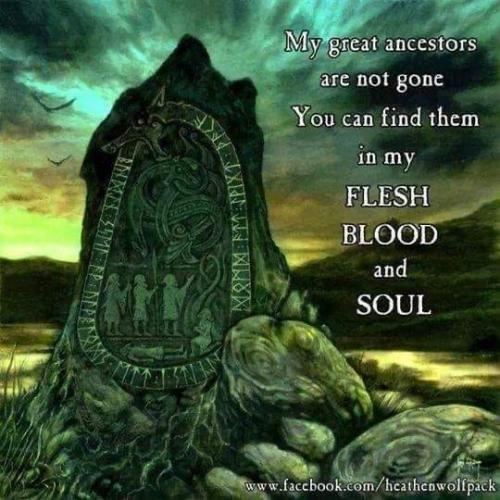 1ED8BEB8-D782-416B-8934-432153B99982