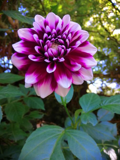 12:22:21 GMT+1300 (NZDT)