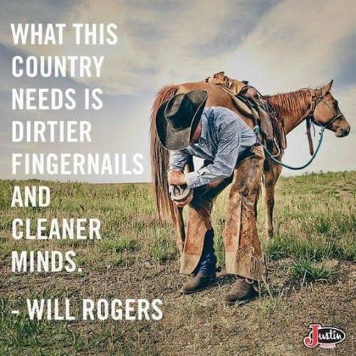 120970577_170002008063402_1071336558243076781_n