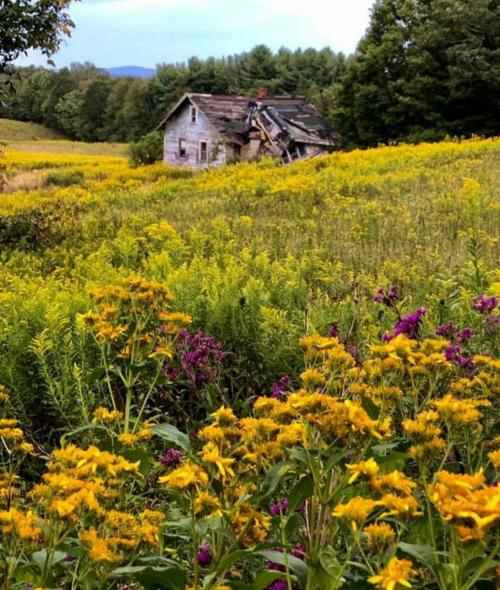 14:35:45 GMT-0400 (EDT)