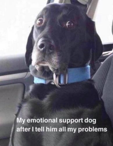 14:42:53 GMT-0400 (EDT)