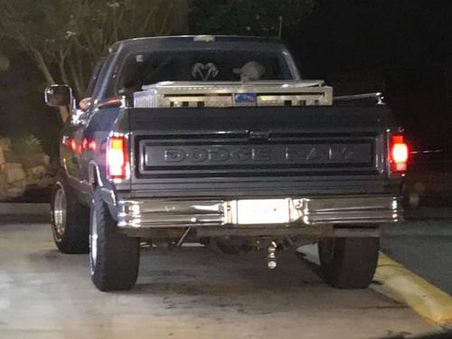 118762515_2694046297579615_5969979062484249861_n_2694046294246282