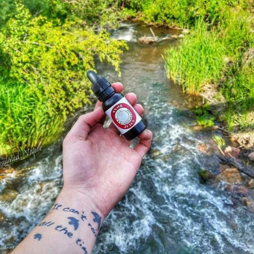 20664742_1607639865933367_8533842076815526152_n