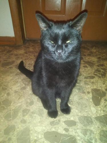 23:03:21 GMT-0400 (EDT)