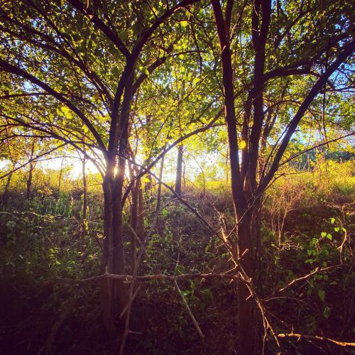 648FB6F8-D69F-4CCB-A0AC-54611D5A6DAE