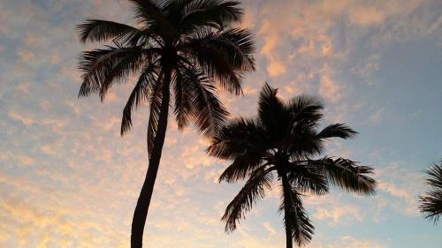 FB_IMG_1602169909170