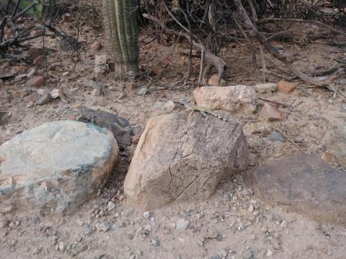 23:20:43 GMT-0700 (MST)