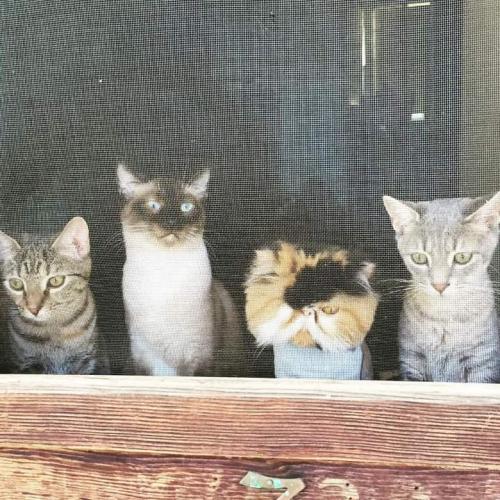 FB_IMG_1599359607332