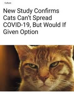 October 9, 2020