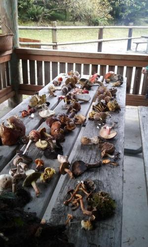 17:21:25 GMT-0700 (PDT)