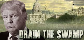 drain the swamp 6