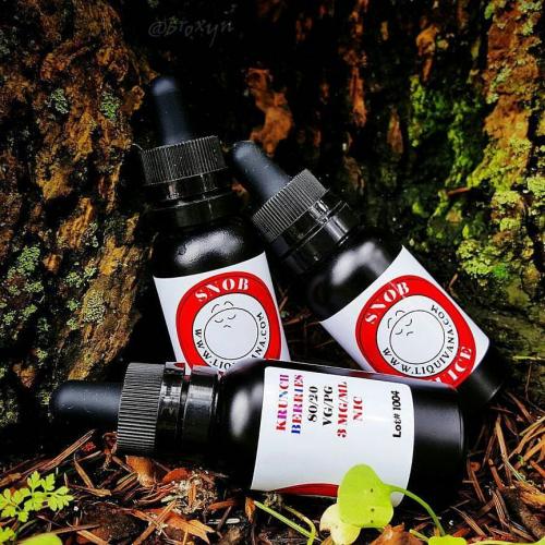 17498427_1448977805132908_9074832292722239932_n